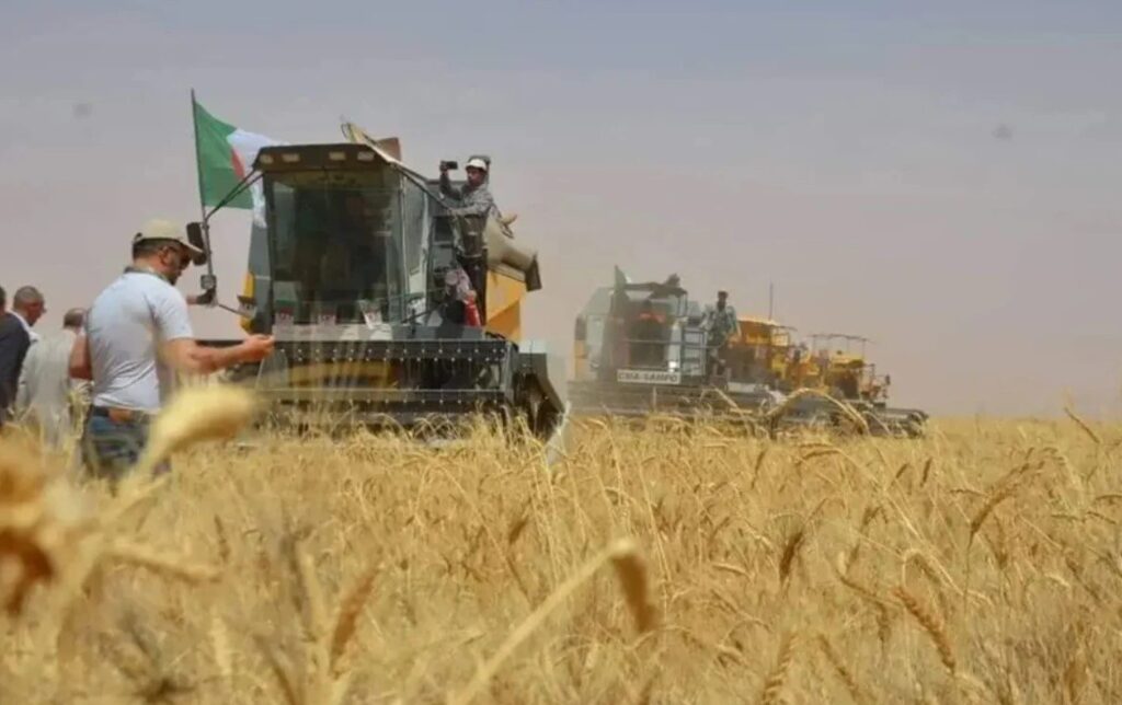 Les nouveaux défis de l’agriculture algérienne : La souveraineté et la sécurité alimentaires en ligne de mire