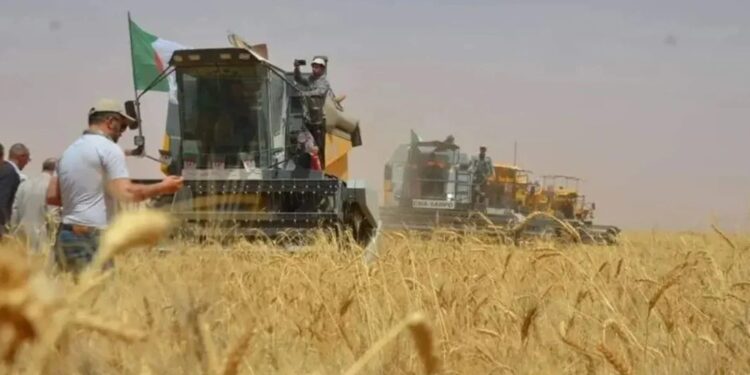 Les nouveaux défis de l’agriculture algérienne : La souveraineté et la sécurité alimentaires en ligne de mire