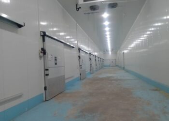 Une convention avec les banques «avant fin juillet» : Des prêts aux agriculteurs souhaitant construire des chambres froides