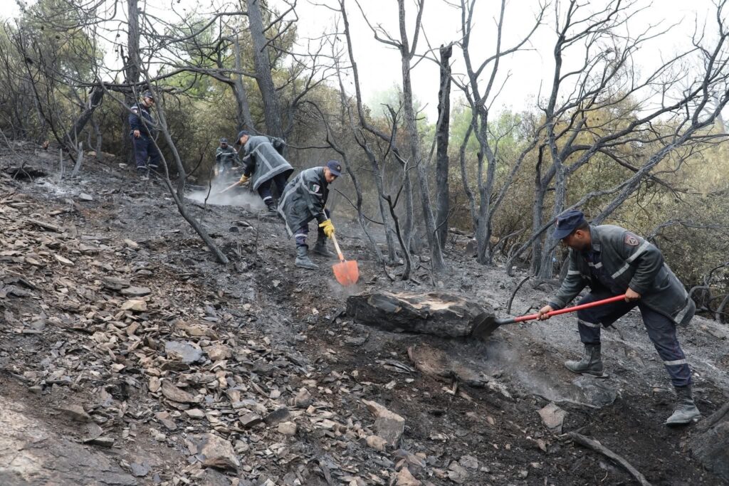 Des pompiers travaillent avec des pelles pour dégager les cendres et les braises après un incendie de forêt dans la commune de Djaâfra, wilaya de Bordj Bou Arréridj, en Algérie, avec des arbres et une végétation noircis en arrière-plan et une légère fumée dans l'air.