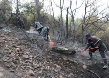 Des pompiers travaillent avec des pelles pour dégager les cendres et les braises après un incendie de forêt dans la commune de Djaâfra, wilaya de Bordj Bou Arréridj, en Algérie, avec des arbres et une végétation noircis en arrière-plan et une légère fumée dans l'air.
