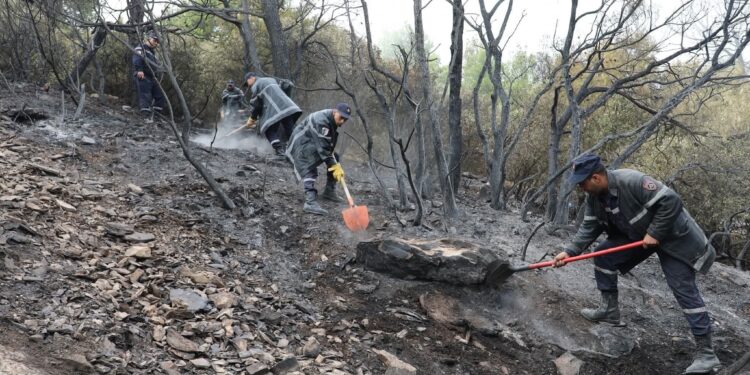 Des pompiers travaillent avec des pelles pour dégager les cendres et les braises après un incendie de forêt dans la commune de Djaâfra, wilaya de Bordj Bou Arréridj, en Algérie, avec des arbres et une végétation noircis en arrière-plan et une légère fumée dans l'air.