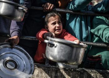 Ghaza : Un tiers de la population est sans nourriture depuis plusieurs jours