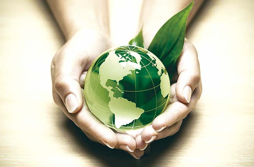 Transition écologique : Lancement d’un marché volontaire du carbone et d’un système MRV