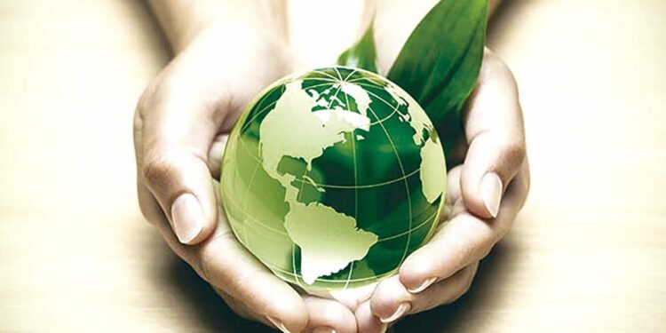 Transition écologique : Lancement d’un marché volontaire du carbone et d’un système MRV