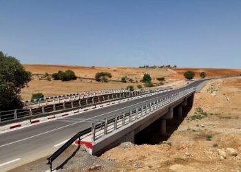 Tiaret : Mise en service de 27 projets dans le secteur des travaux publics durant le mois de juillet