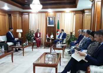 Le ministre Mohamed Arkab reçoit l’ambassadrice du Royaume des Pays-Bas en Algérie : Le renforcement de la coopération énergétique au menu
