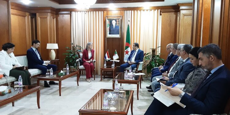 Le ministre Mohamed Arkab reçoit l’ambassadrice du Royaume des Pays-Bas en Algérie : Le renforcement de la coopération énergétique au menu