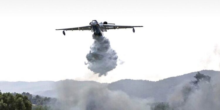 Contexte caniculaire et risque d’incendie : L’Algérie en mode vigilance