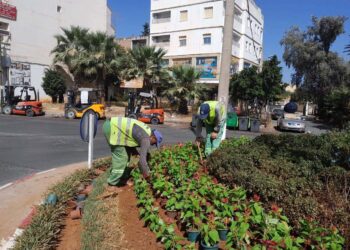 Habitat, économie et espaces verts : L’environnement et la qualité de vie en point de mire