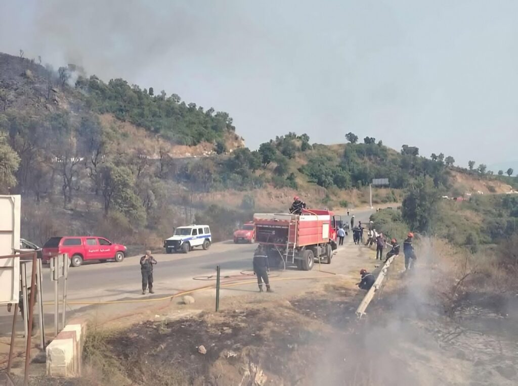 Bejaia : Un important incendie de forêt maîtrisé à Adekar