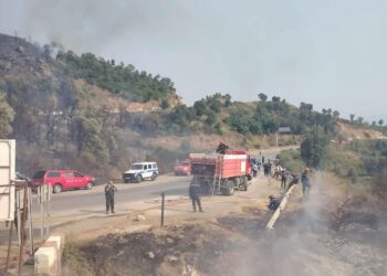 Bejaia : Un important incendie de forêt maîtrisé à Adekar