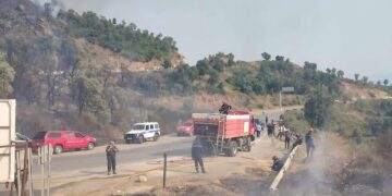 Bejaia : Un important incendie de forêt maîtrisé à Adekar