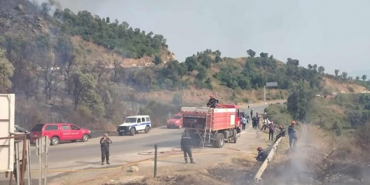 Bejaia : Un important incendie de forêt maîtrisé à Adekar