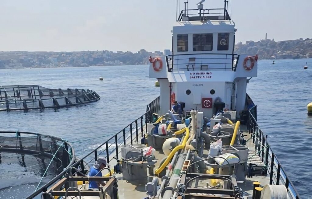 Oran : La Chambre de la pêche et de l’aquaculture signe plusieurs conventions pour moderniser le secteur