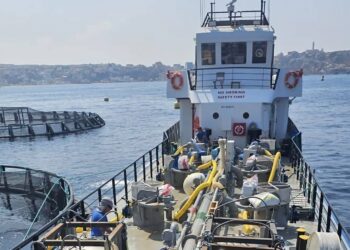 Oran : La Chambre de la pêche et de l’aquaculture signe plusieurs conventions pour moderniser le secteur