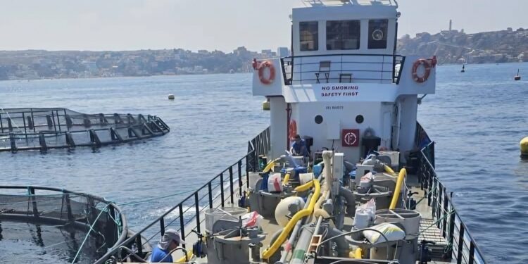 Oran : La Chambre de la pêche et de l’aquaculture signe plusieurs conventions pour moderniser le secteur