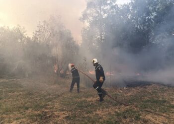 Incendies de forêts : L'opération d'extinction se poursuit à Aït Boumahdi (Ouacif)