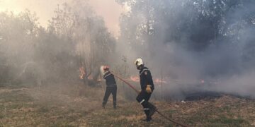 Incendies de forêts : L'opération d'extinction se poursuit à Aït Boumahdi (Ouacif)