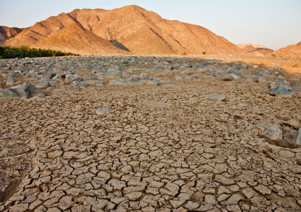 Adaptation énergétique et perturbations météorologiques extrêmes : L’Algérie face aux changements climatiques