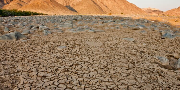 Adaptation énergétique et perturbations météorologiques extrêmes : L’Algérie face aux changements climatiques