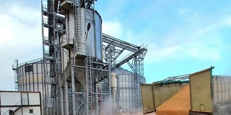 Timimoun : Réception de huit centres de proximité de stockage de céréales