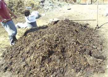 Développement durable : «Tizi-Bio» à l’ère de l’économie circulaire