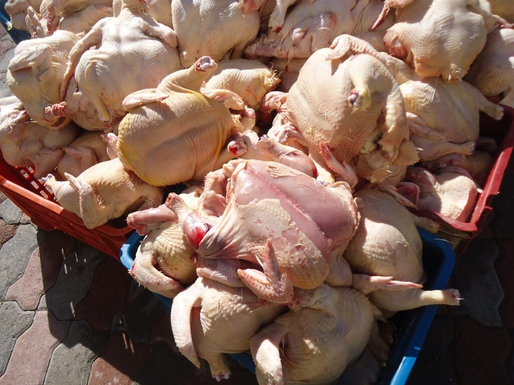 Lutte contre les intoxications alimentaires à Béjaia : 1200 kg de viande blanche saisie à El Kseur