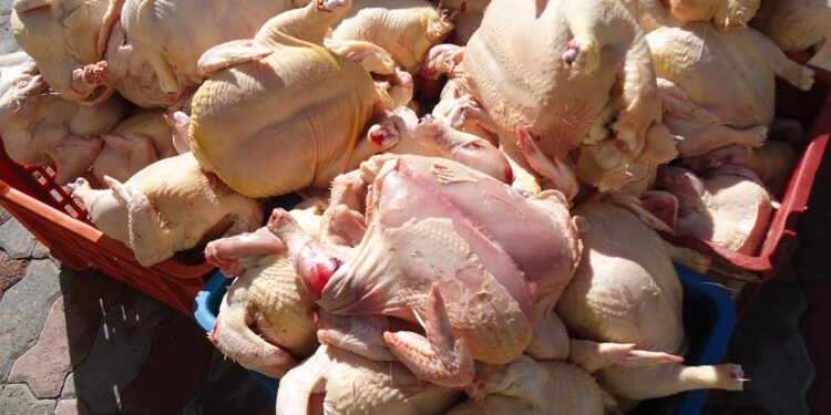 Lutte contre les intoxications alimentaires à Béjaia : 1200 kg de viande blanche saisie à El Kseur