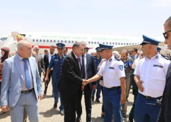 Le vol inaugural lancé hier par le ministre Sayoud : Lancement officiel des opérations de « Domestic Airlines »