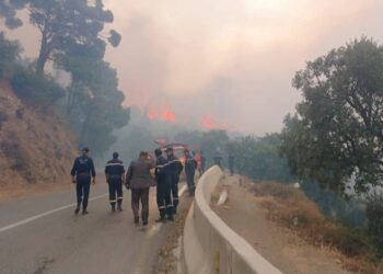 Blida : Les équipes de la protection civile poursuivent leurs efforts pour éteindre l’incendie de la forêt de Chréa