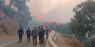 Blida : Les équipes de la protection civile poursuivent leurs efforts pour éteindre l’incendie de la forêt de Chréa