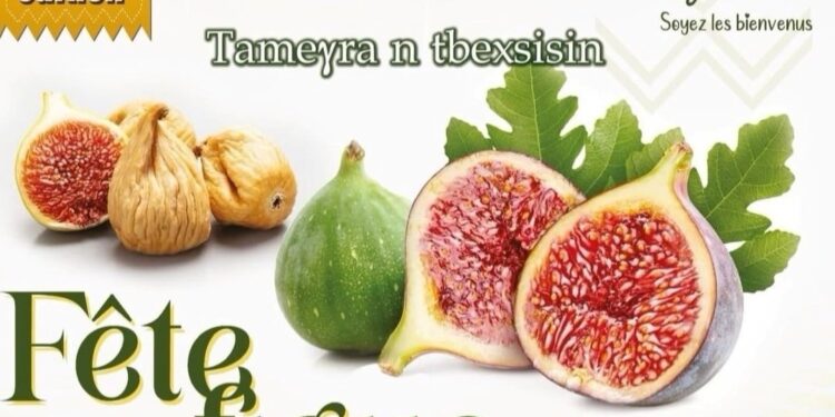 15e édition de la fête de la figue qui s’ouvrira jeudi prochain au village Lemsella, dans la commune d’Illoula Oumalou, wilaya de Tizi-Ouzou