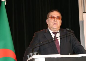 le ministre de la Communication, Mohamed Meziane