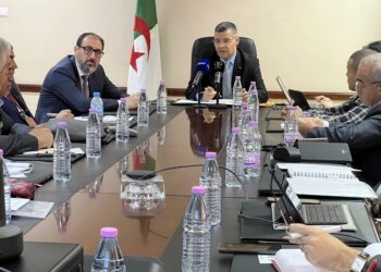IATF 2025 : 44% des contrats conclus par l'Algérie sont des investissements