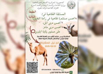 Illizi : Un concours de la meilleure exploitation agricole de la wilaya
