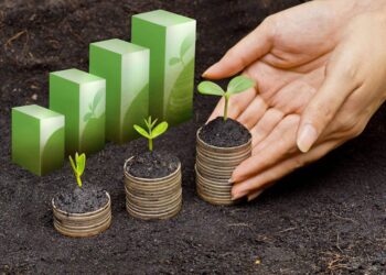 Économie et environnement : Les ressorts du développement durable 