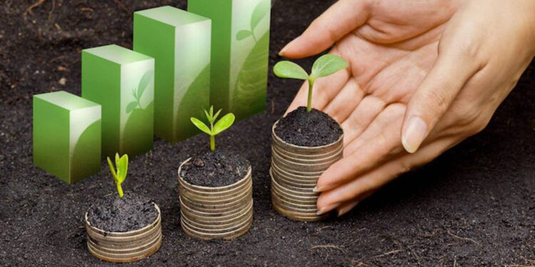 Économie et environnement : Les ressorts du développement durable 