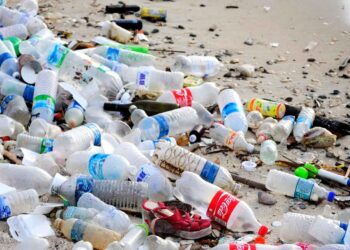 Le plastique : une menace pour l’homme et la nature