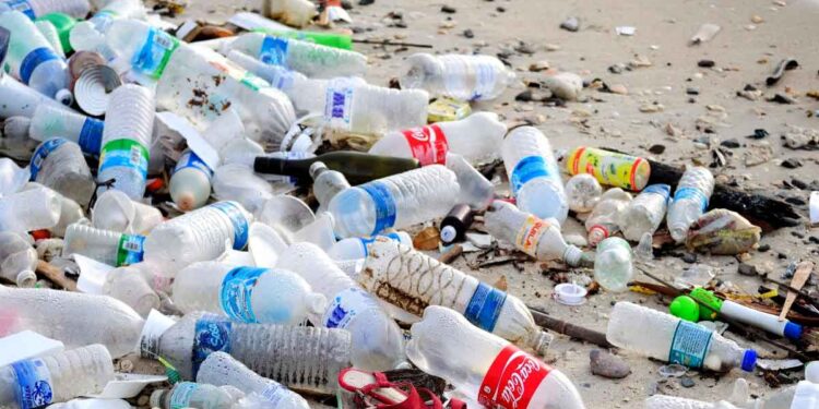 Le plastique : une menace pour l’homme et la nature