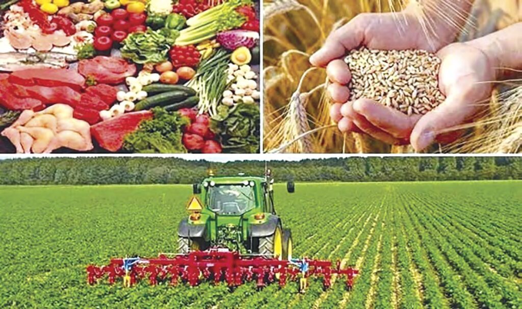 Sécurité alimentaire : Cap sur une agriculture moderne
