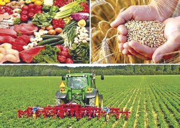 Sécurité alimentaire : Cap sur une agriculture moderne