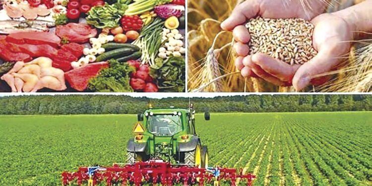 Sécurité alimentaire : Cap sur une agriculture moderne
