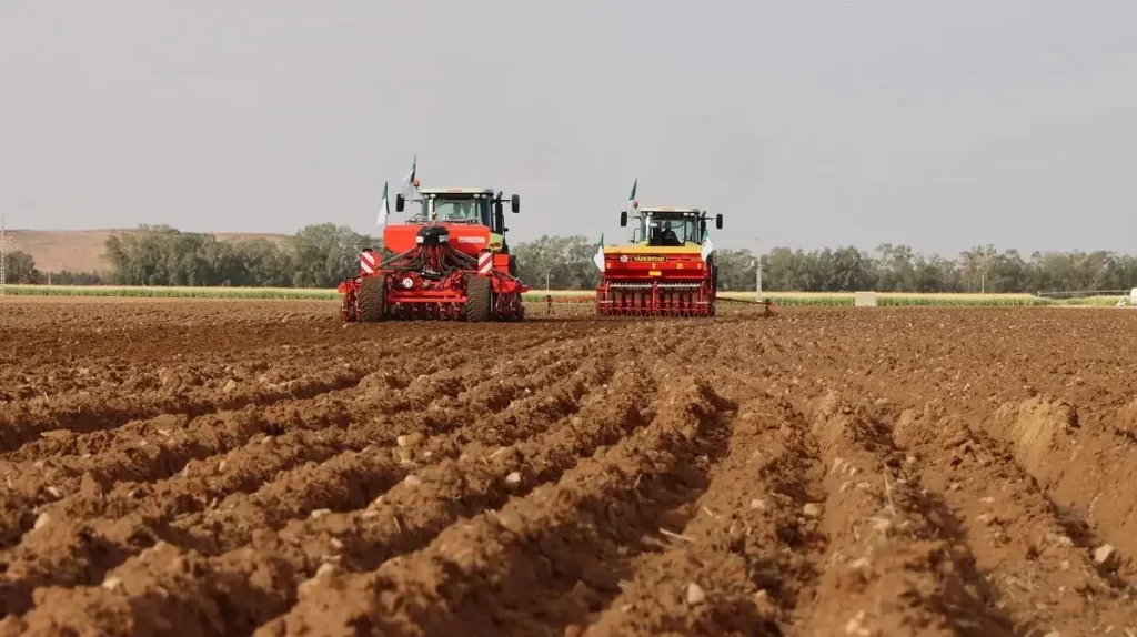 Timimoun : Le projet italien de production de céréales et de légumineuses avance à un rythme «soutenu»