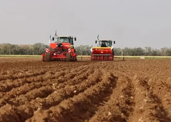 Timimoun : Le projet italien de production de céréales et de légumineuses avance à un rythme «soutenu»