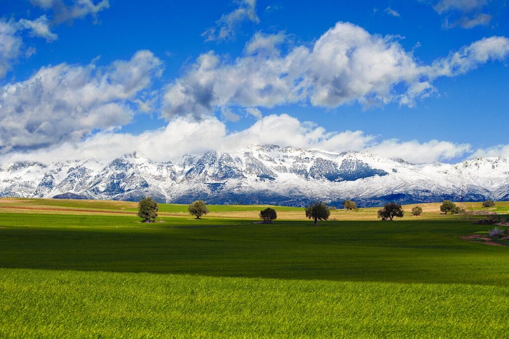 Développement local en milieu rural : L’apport des nouvelles méthodes d’approche