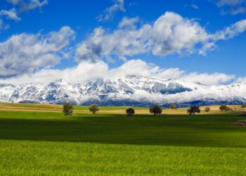 Développement local en milieu rural : L’apport des nouvelles méthodes d’approche