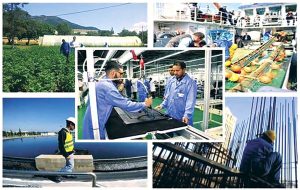 Portée par l’agriculture, l’industrie et le BTPH : La croissance hors hydrocarbure en progression