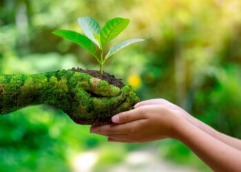 Blida : Des serres en plastique et des outils de jardinage au profit de 90 établissements scolaires