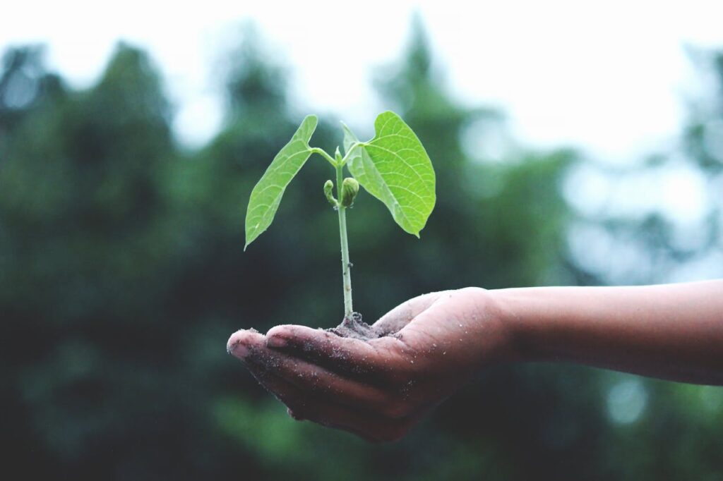 Khenchela : Une formation pour renforcer l’entrepreneuriat féminin dans l’économie verte